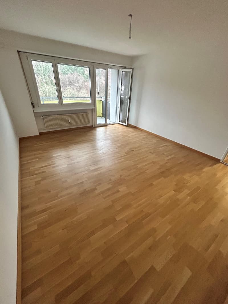 Renovated 4-room apartment (6)