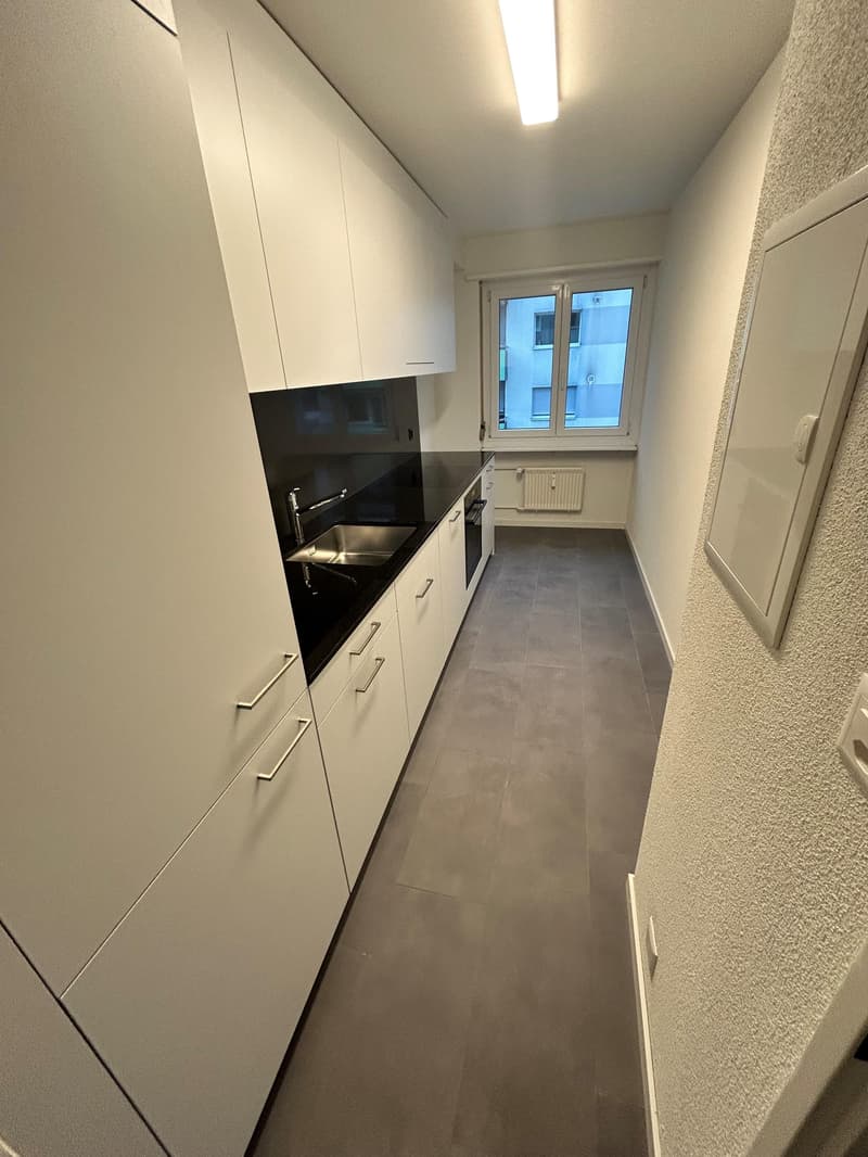 Renovated 4-room apartment (2)