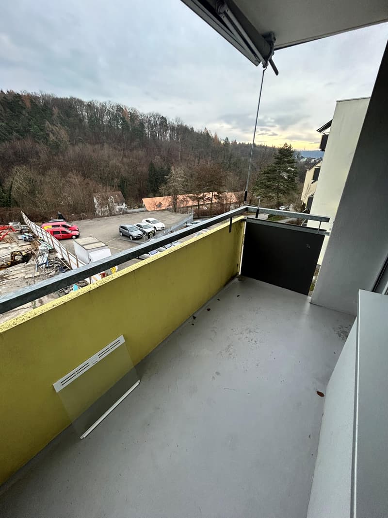 Renovated 4-room apartment (9)