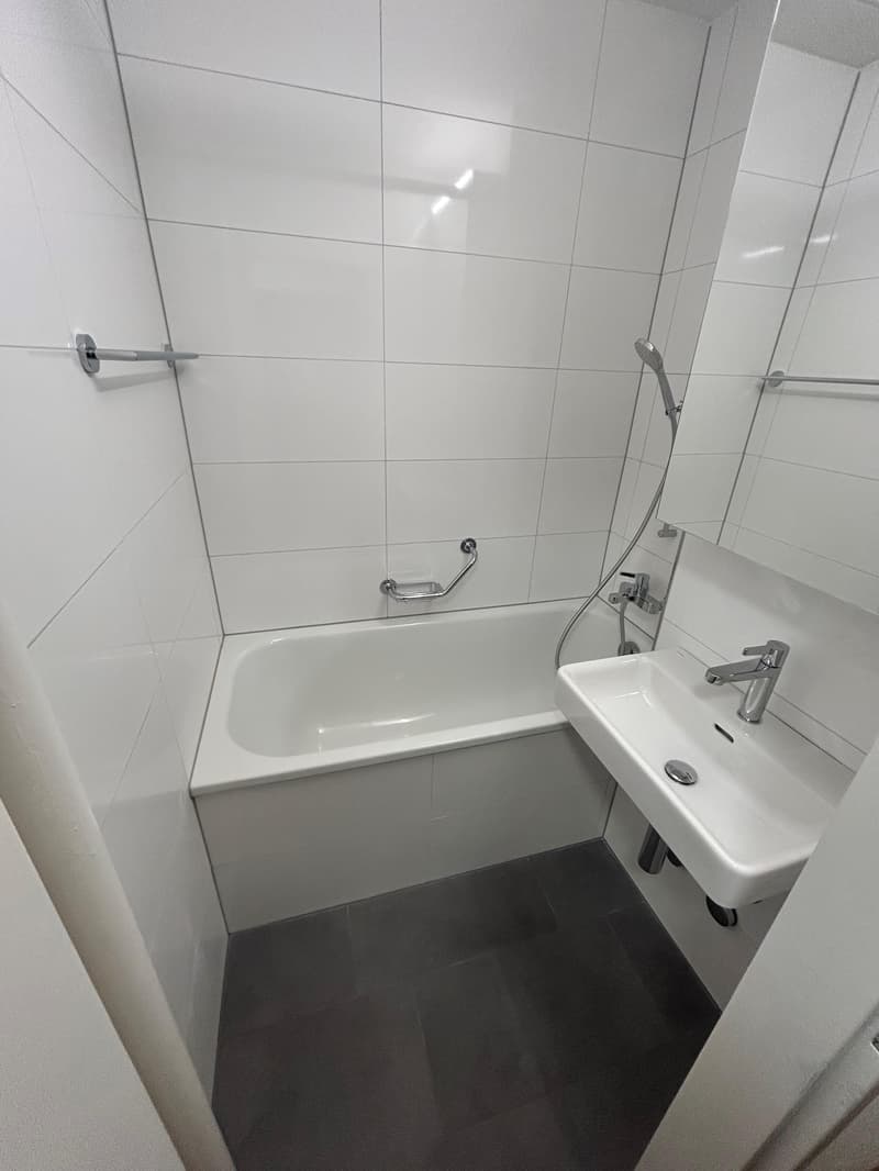 Renovated 4-room apartment (4)