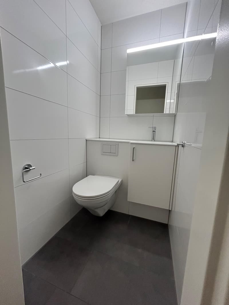 Renovated 4-room apartment (5)