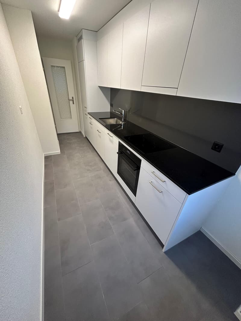 Renovated 4-room apartment (3)