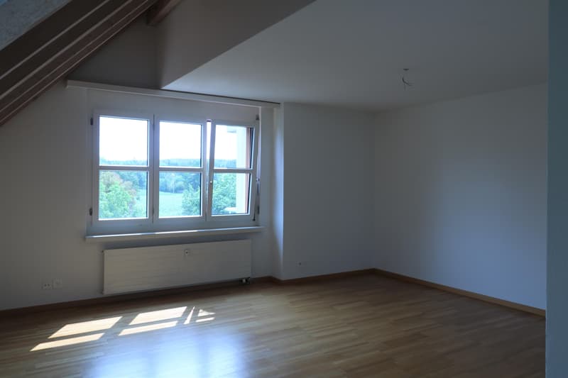 Appartement 1.5 pièces à Regensdorf (2)