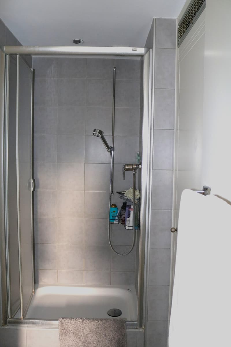 Charming apartment in central location (8)