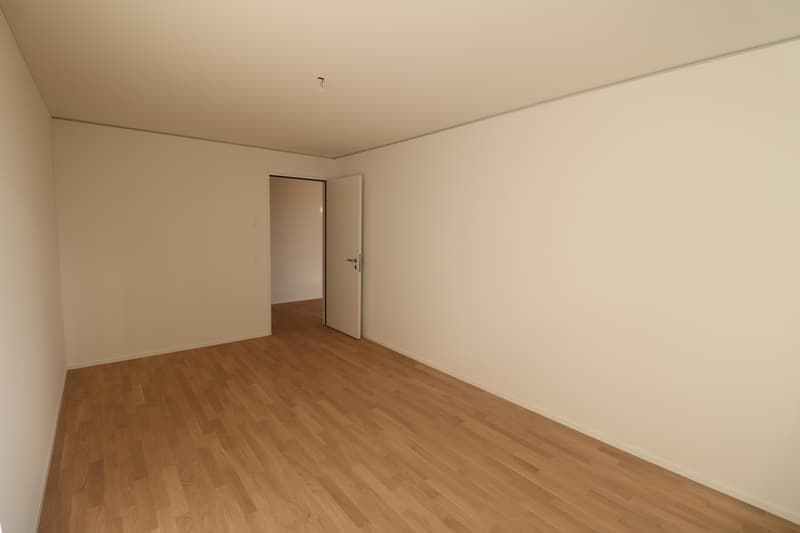 Appartamento 4.5 locali nel cuore di Neuhausen (5)