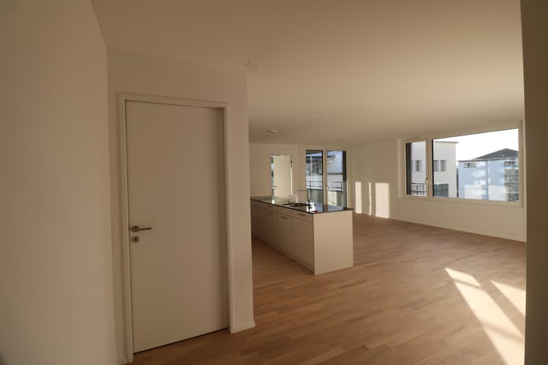 Appartamento 4.5 locali nel cuore di Neuhausen (4)