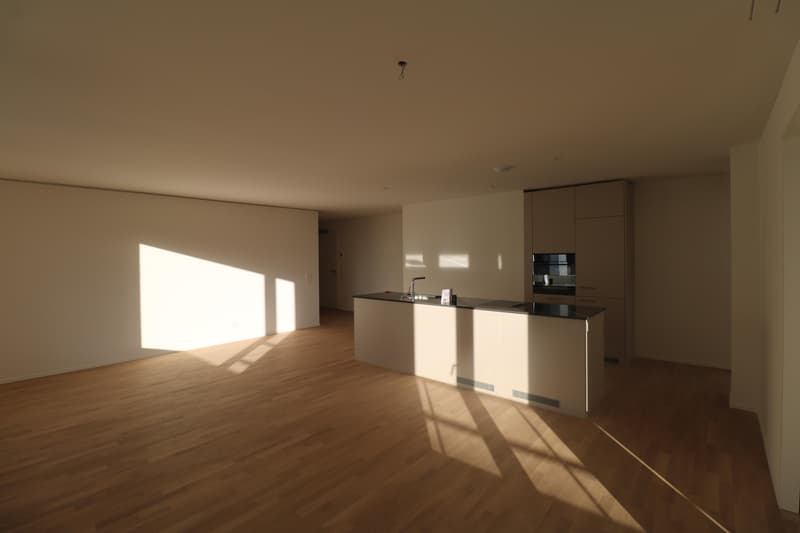 Appartamento 4.5 locali nel cuore di Neuhausen (9)
