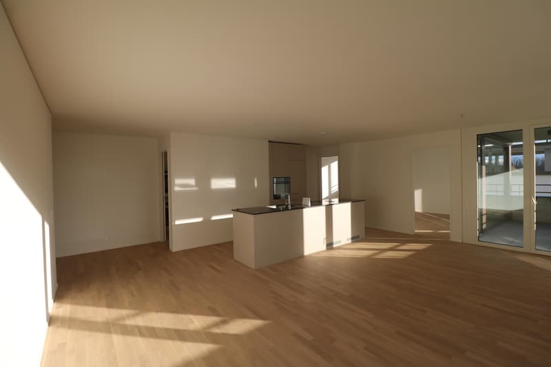 Appartamento 4.5 locali nel cuore di Neuhausen (2)