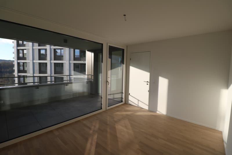 Appartamento 4.5 locali nel cuore di Neuhausen (6)
