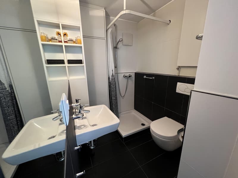 Charmant appartement 2.5 pièces dans la vieille ville (7)