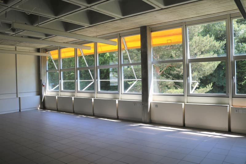 Light-flooded commercial/office spaces for individual use (5)