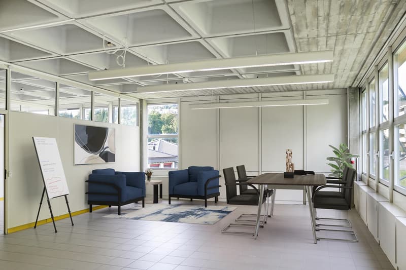 Light-flooded commercial/office spaces for individual use (3)