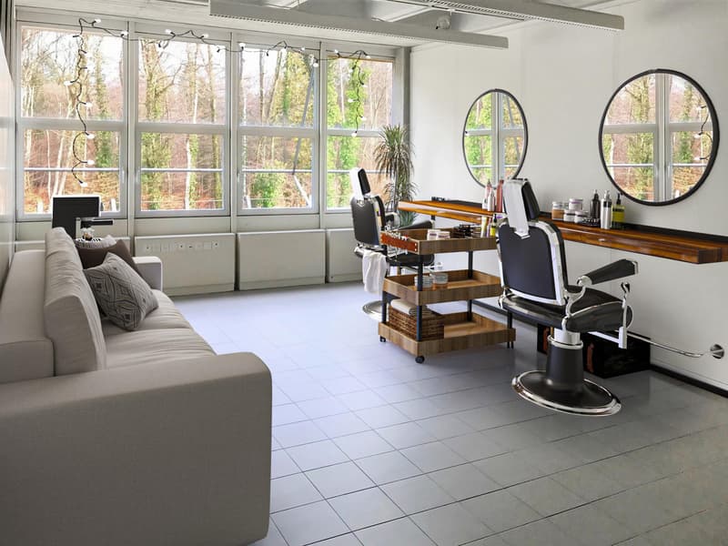 Light-flooded commercial/office spaces for individual use (4)