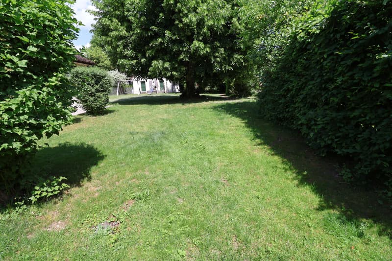 Maison de rangée exclusive avec 203 m² d'espace de vie et jardin dans le quartier populaire de Breite (13)