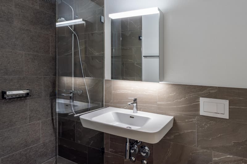 2.5 room apartment in Eschikofen (4)