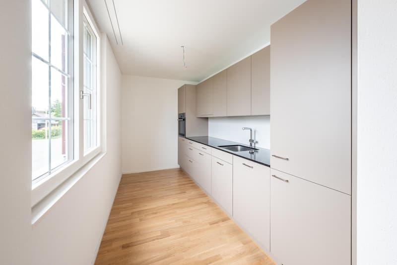 2.5 room apartment in Eschikofen (2)