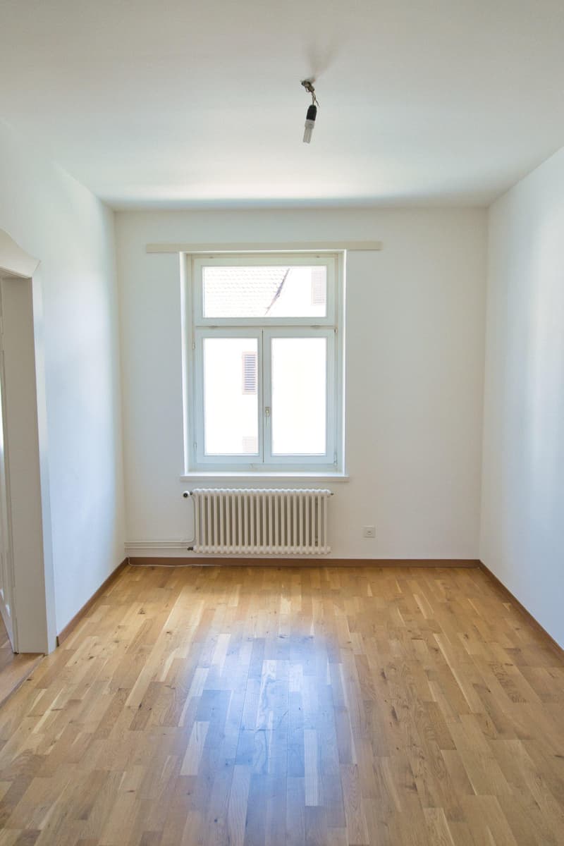 4-bedroom apartments in top location in Schaffhausen - First rental after renovation (5)
