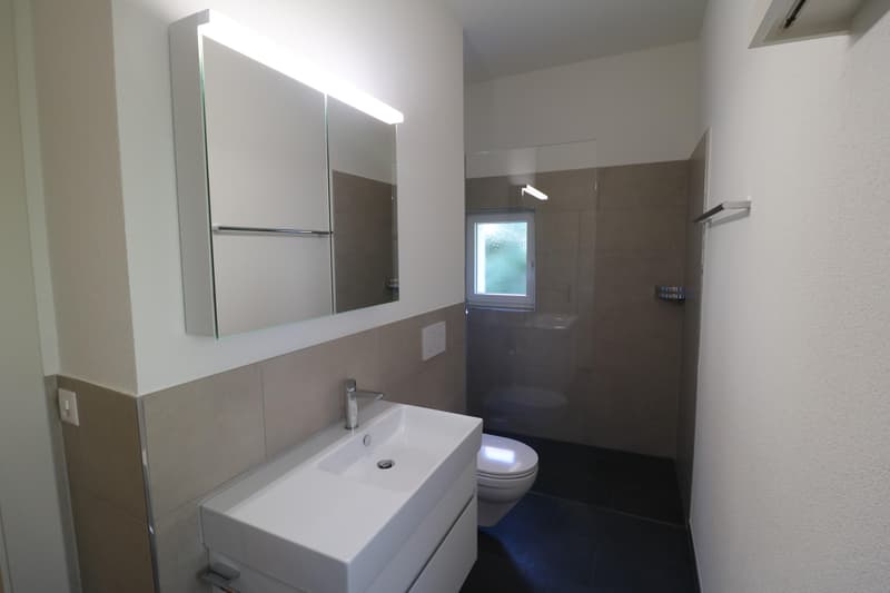 4-bedroom apartments in top location in Schaffhausen - First rental after renovation (9)