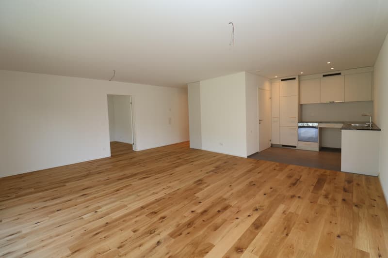 Newly built apartment in Rafz (3)