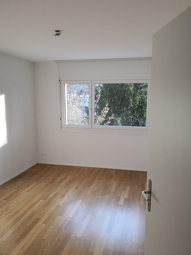 Schöne, sonnige 4½-Zimmerwohnung in der Nähe des Rheins zu vermieten (5)