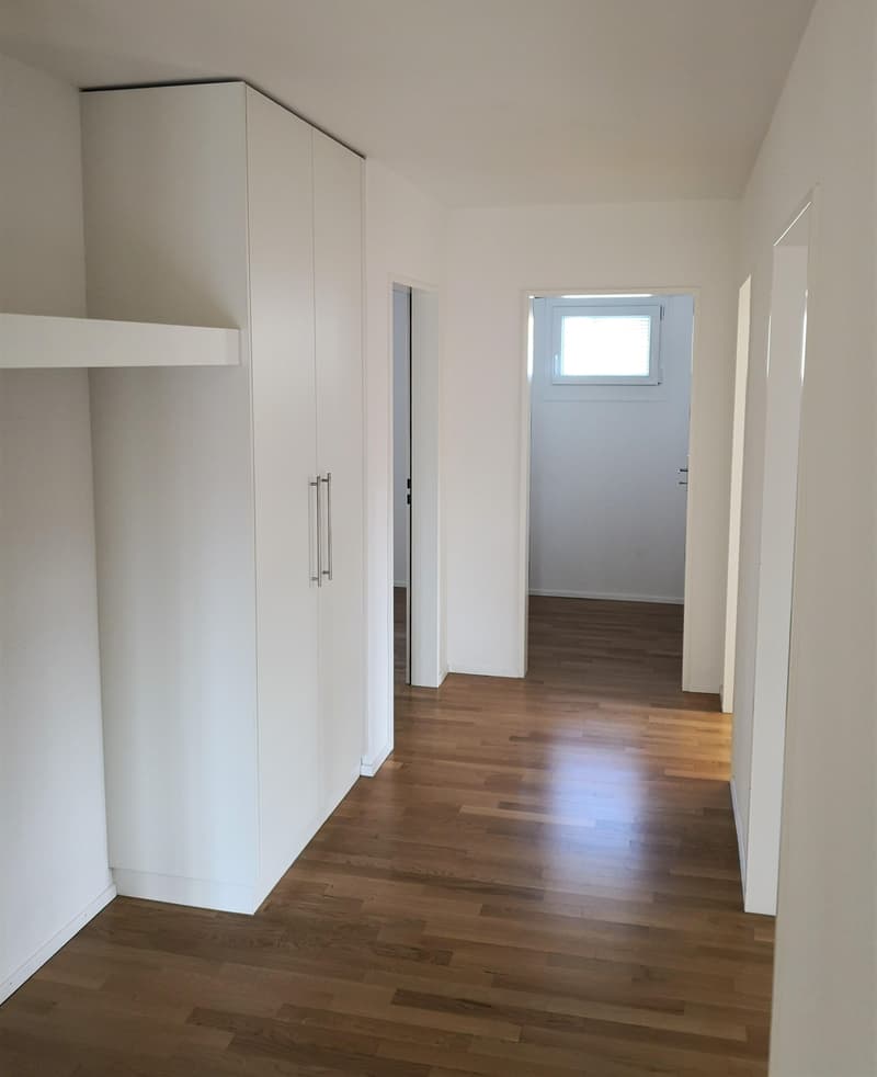 Schöne, sonnige 4½-Zimmerwohnung in der Nähe des Rheins zu vermieten (4)