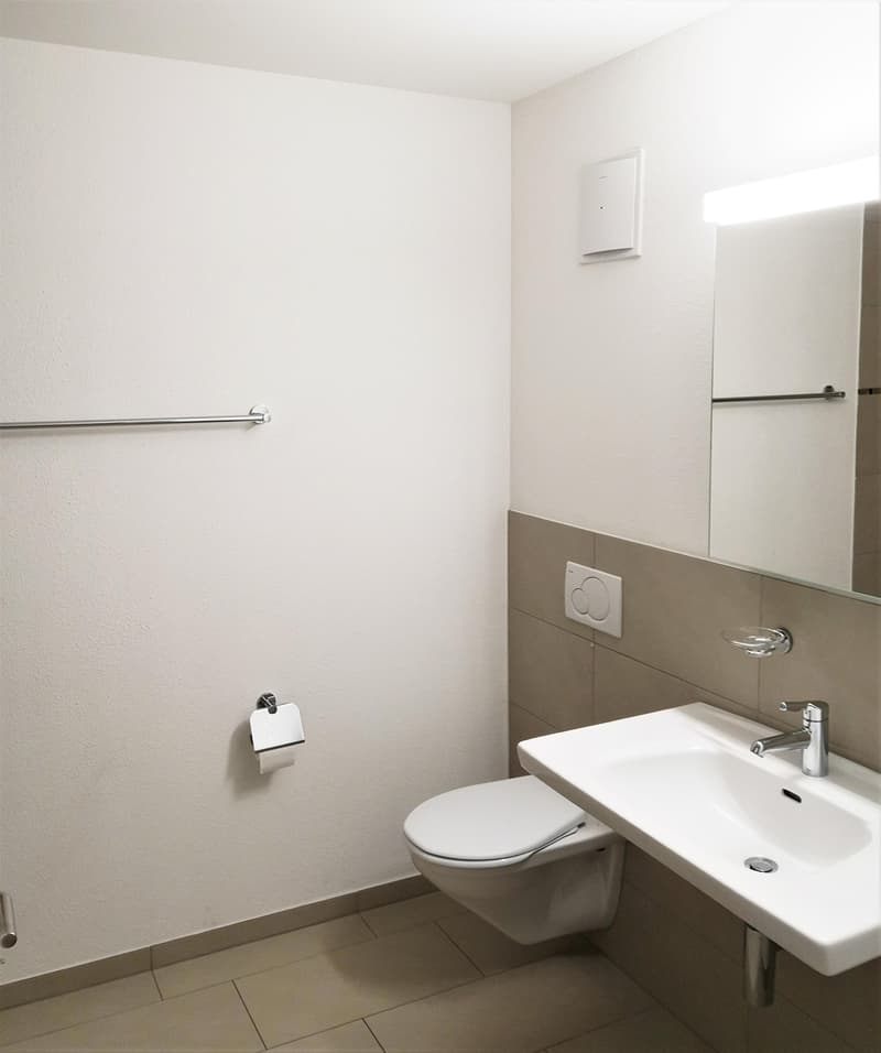 Schöne, sonnige 4½-Zimmerwohnung in der Nähe des Rheins zu vermieten (7)