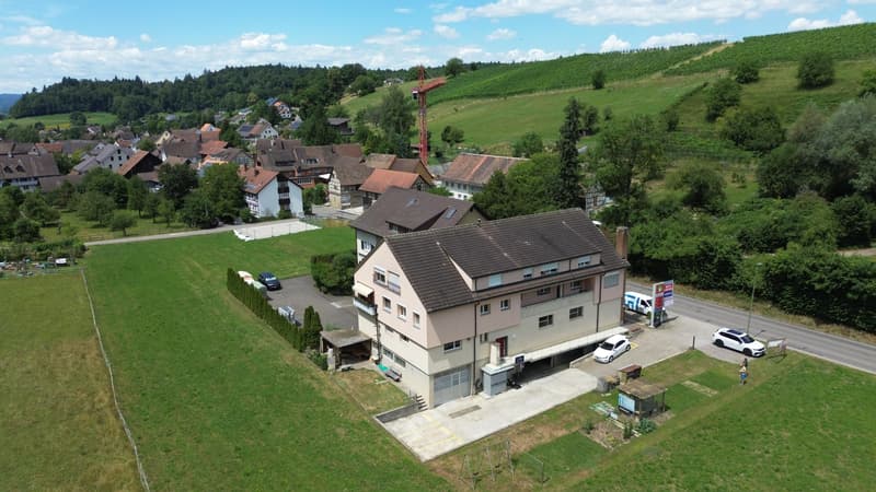 Vivere nel verde - appartamento 3.5 locali curato a Trüllikon (2)