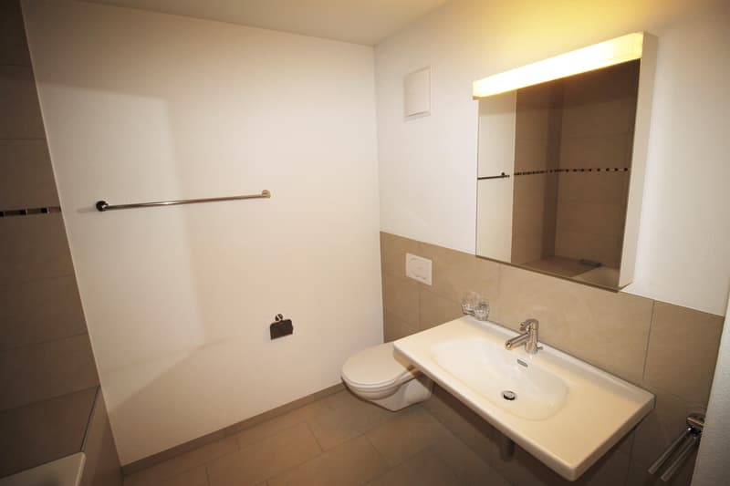 Helle 4.5 Maisonettewohnung mit Balkon in der Nähe des Rheins zu vermieten (7)