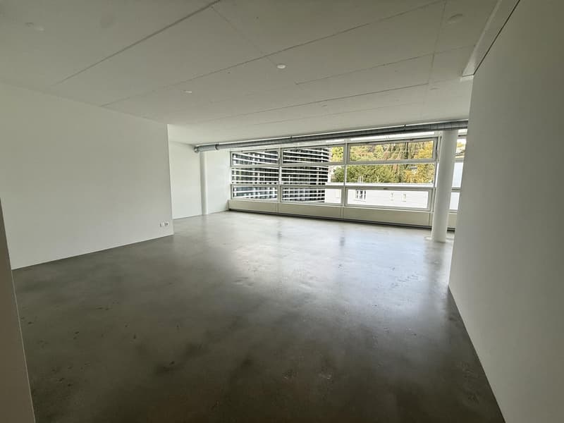 Helle Gewerbefläche mit 67 m² am Rheinweg in Schaffhausen (9)