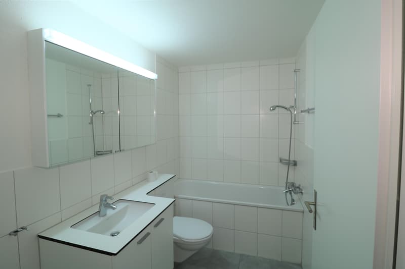 Appartamento 3.5 locali a Herblingen (6)