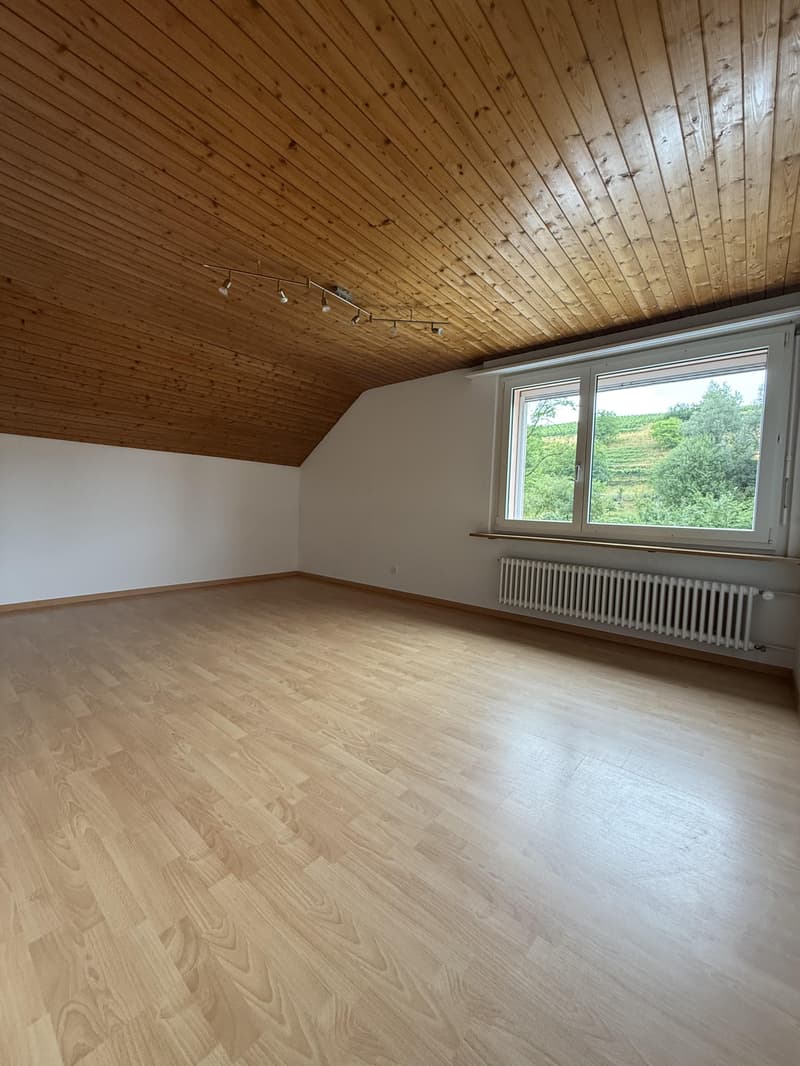 Wohnen im Grünen - gepflegte 3.5-Zimmerwohnung in Trüllikon (8)
