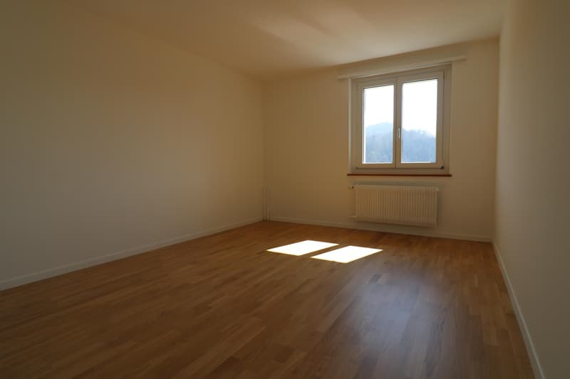 Charmante 3-Zimmer-Wohnung mit Weitsicht (4)