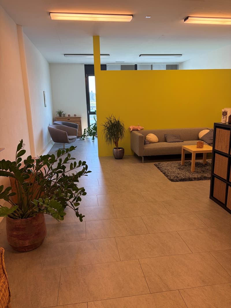 Praxis- oder Bürofläche an hochfrequentierter Toplage im Zürcher Weinland zu vermieten (3)