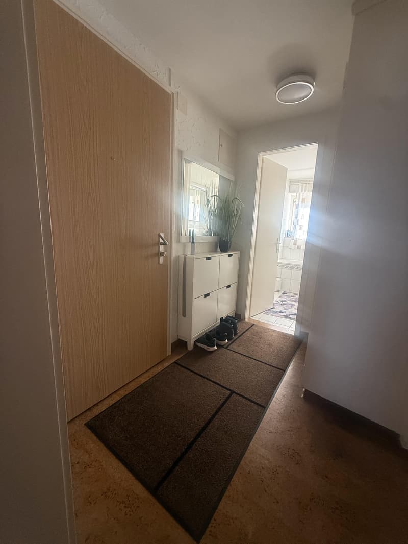 Gemütliche 4.5-Zimmerwohnung in Feuerthalen (3)
