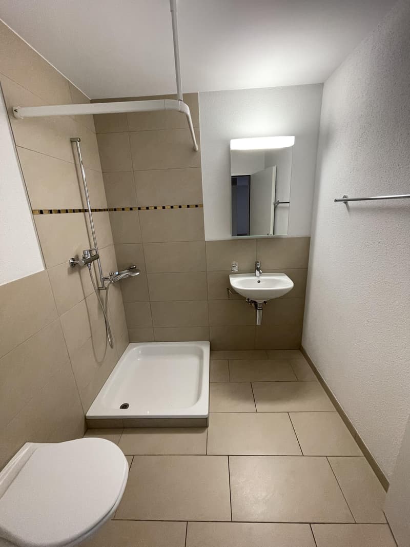 Ihre Gelegenheit! Charmante 4,5 Zimmerwohnung an begehrter Lage zu vermieten! (5)