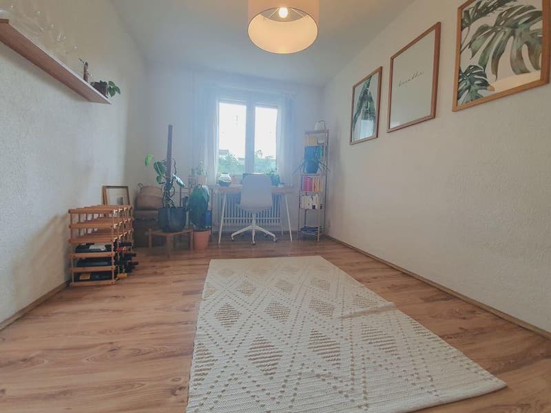 Schöne helle 4-Zimmerwohnung in Stadtnähe (8)