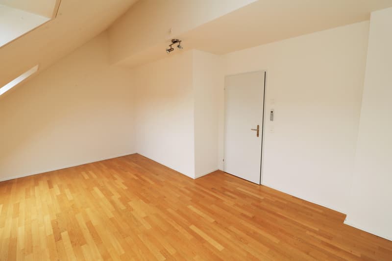Helle 2.5-Zimmerwohnung mit Balkon in der Nähe des Rheins zu vermieten (6)