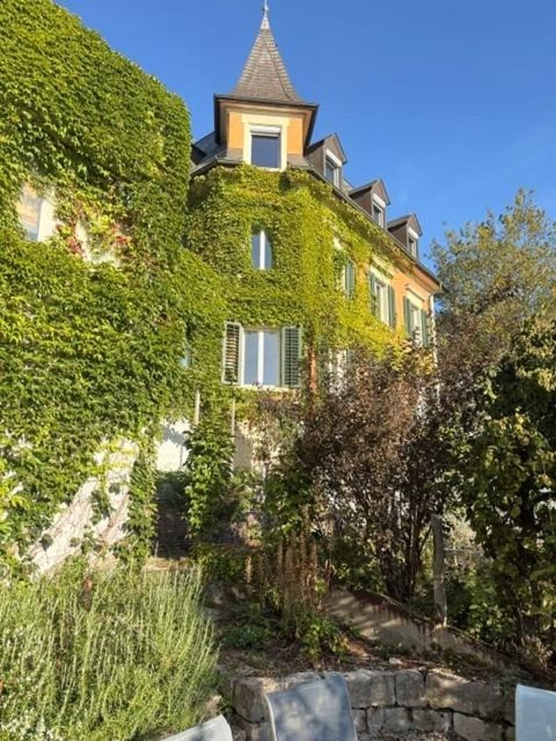 4.0 Zimmerwohnung in Schaffhausen (1)