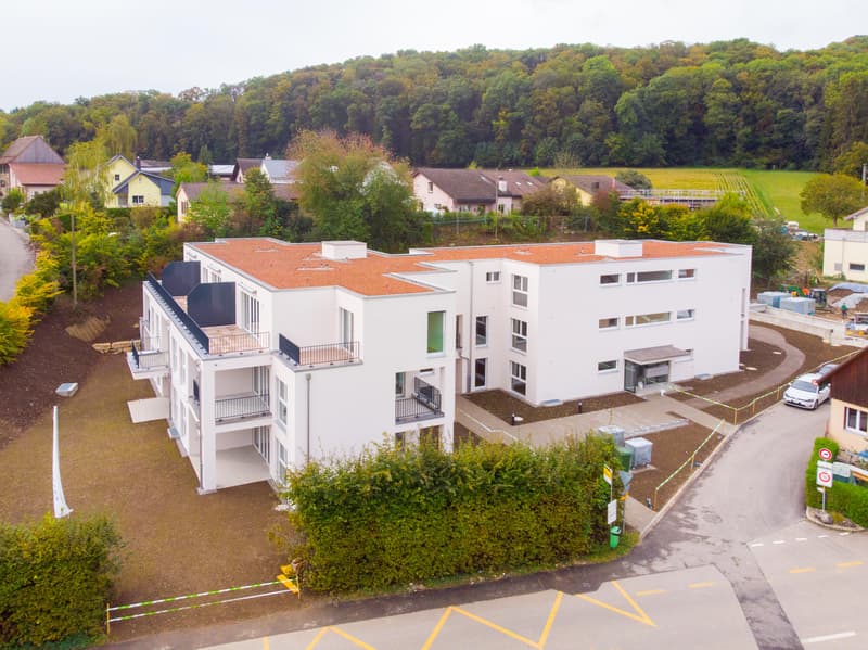 Moderne 4.5-Zimmerwohnung im EG in Thayngen (2)