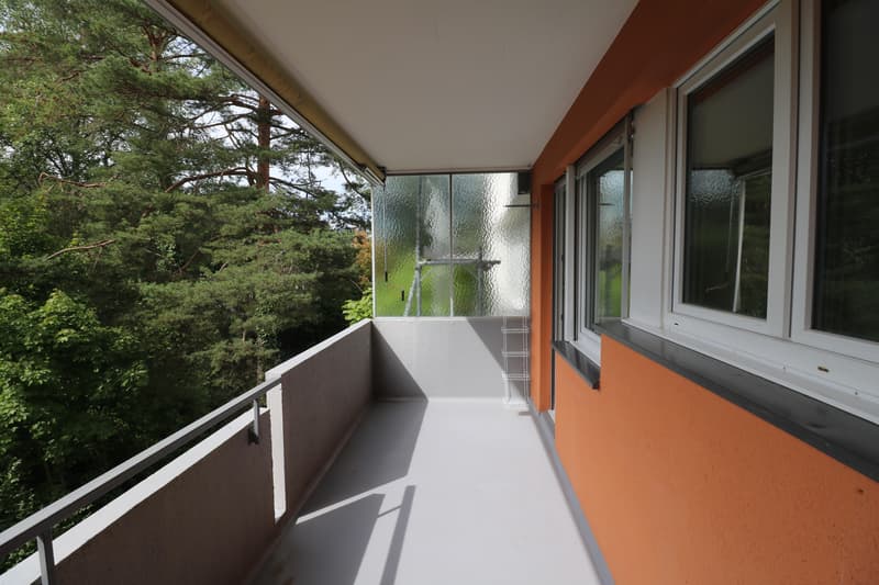 4-Zimmerwohnung mit Balkon per sofort verfügbar (11)