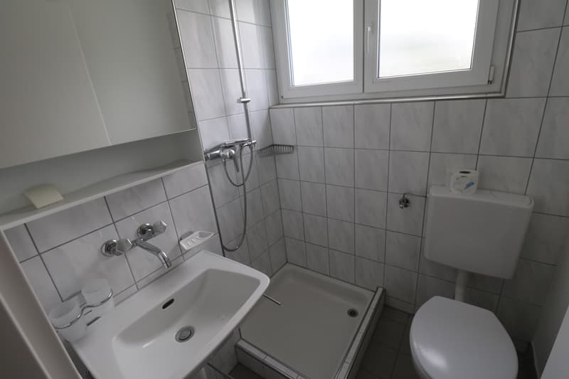 4-Zimmerwohnung mit Balkon per sofort verfügbar (9)