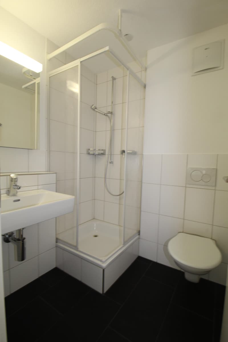 5.5 Zimmerwohnung in Neuhausen am Rheinfall (7)
