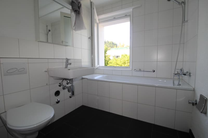 5.5 Zimmerwohnung in Neuhausen am Rheinfall (6)