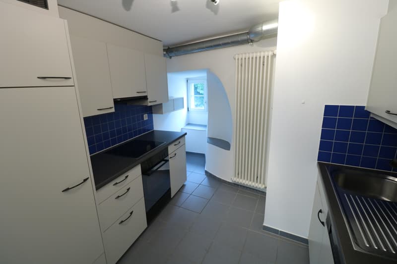 3.5 Zimmerwohnung in Schaffhausen (6)