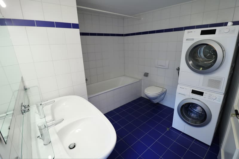 3.5 Zimmerwohnung in Schaffhausen (8)
