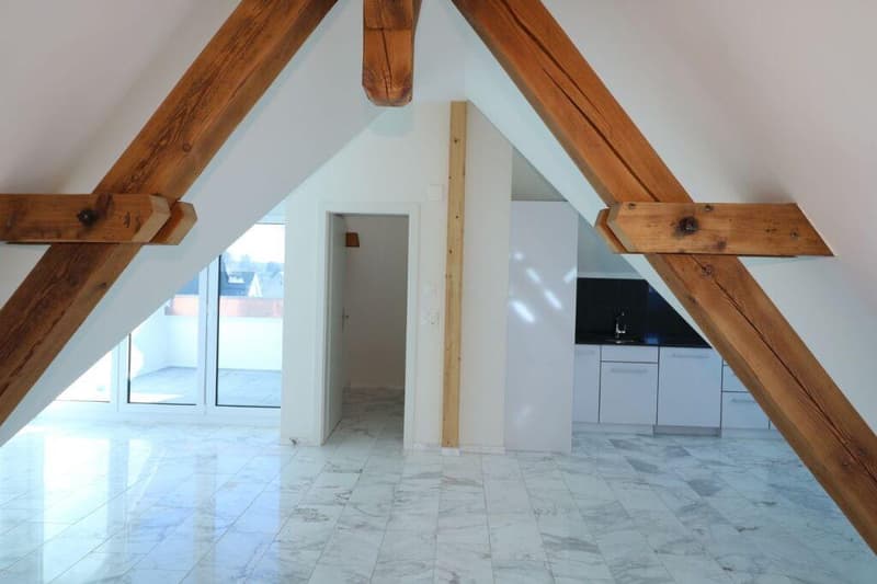Charmante Dachwohnung im Breitequartier (3)