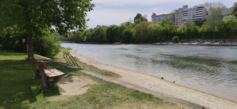 Schöne 4.5 Zimmerwohnung in Flurlingen zu vermieten in der Nähe des Rheins (1)