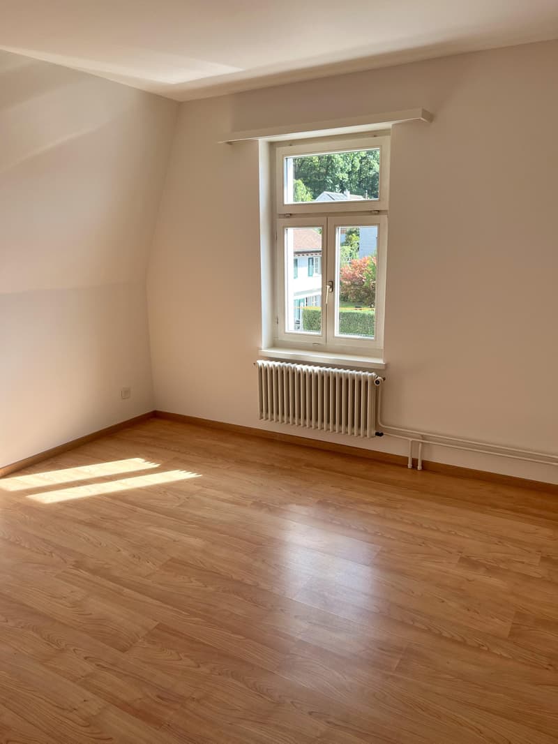 Charmante 4.5-Zimmer-Altbauwohnung mit loftartigem Dachgeschoss (7)