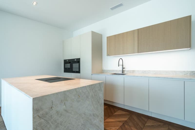 Architecture, Comfort, and Sustainability with a Far-Reaching View (2)
