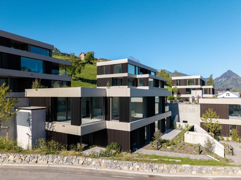 Architecture, Comfort, and Sustainability with a Far-Reaching View (1)